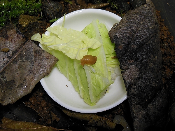 土砂災害に注意