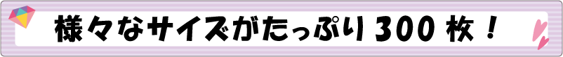 様々なサイズがたっぷり300枚