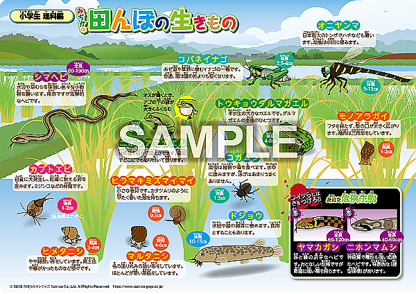 明日から8月!