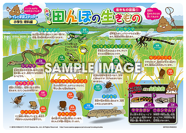 田んぼの生き物の冬